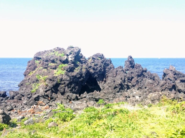 7070BD26-F25E-4425-A1E0-4138EBCF0221.jpg?type=w773