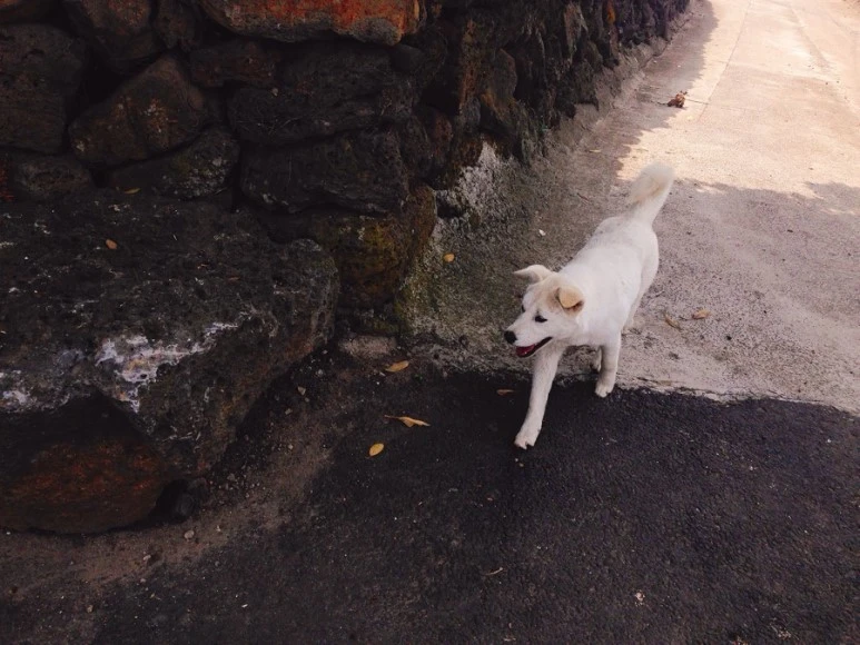 IMG_8761.jpg?type=w773