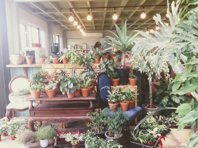 1FE4389A-AE42-45FF-B59B-1F88CF737688.jpg?type=w773