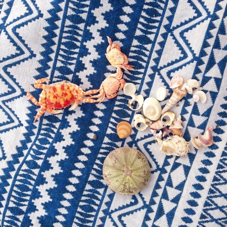 se3_image_2331699203.jpg?type=w773