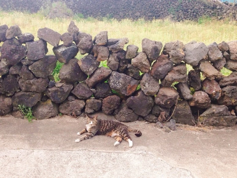 IMG_9132.jpg?type=w773