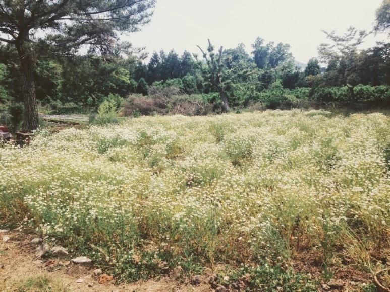 9FFC9055-4E46-4888-B733-05A94CEDFFAC.jpg?type=w773