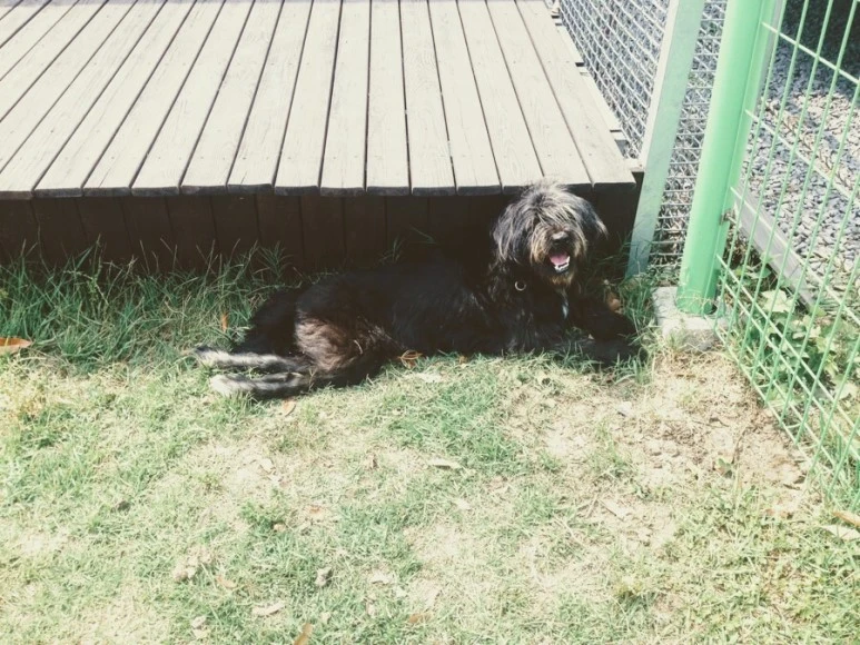 6BC0F84B-9A7D-4C83-8459-A10F78C4D38A.jpg?type=w773