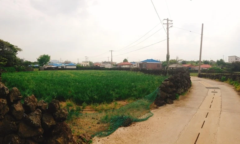 IMG_9134.jpg?type=w773