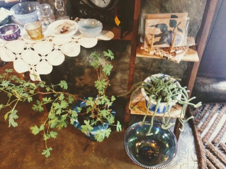 6EA18916-2191-4421-80CF-3E6010FBDE6C.jpg?type=w773