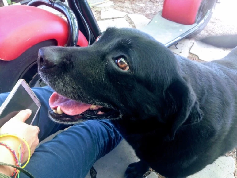 4DE73FA5-1BB3-4D73-AA0E-0C67001BC79A.jpg?type=w773