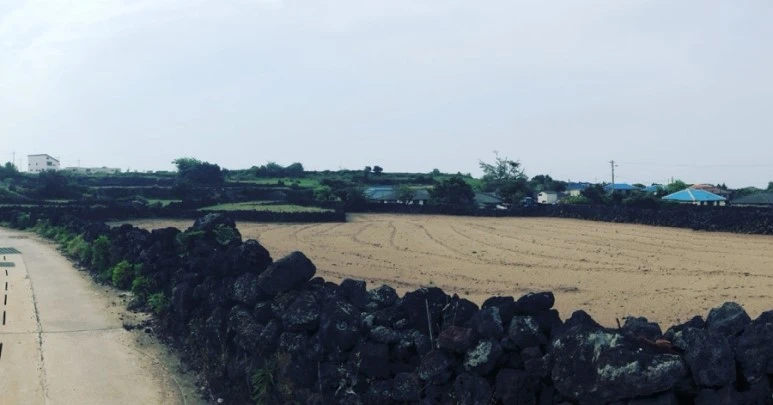 IMG_9086.jpg?type=w773