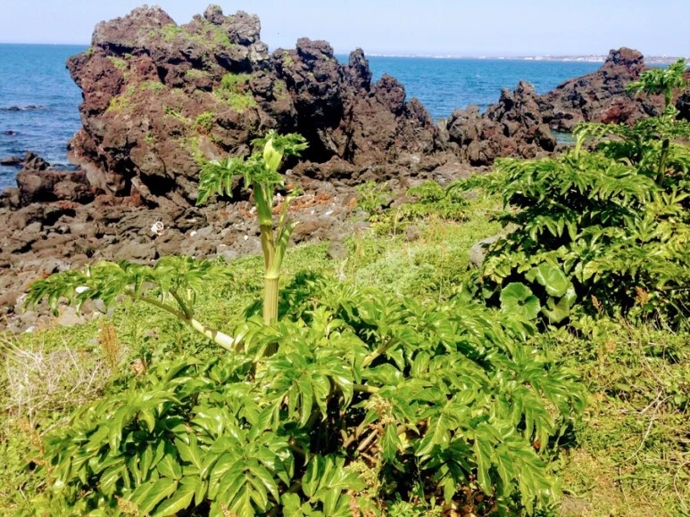 F8B77031-F93F-4301-8937-FB639057A16B.jpg?type=w773