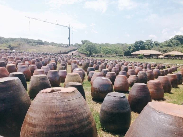 IMG_2219.jpg?type=w773