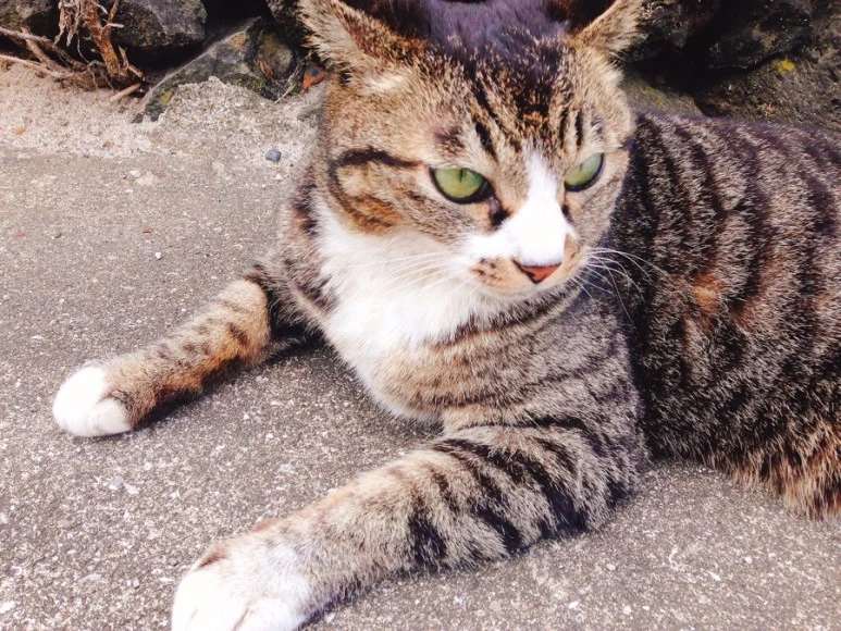 IMG_9133.jpg?type=w773