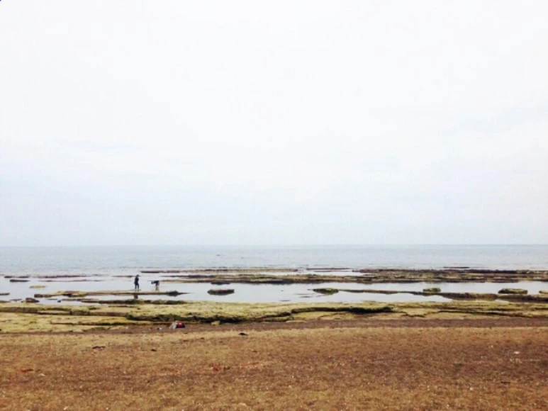 se3_image_4891295.jpg?type=w773