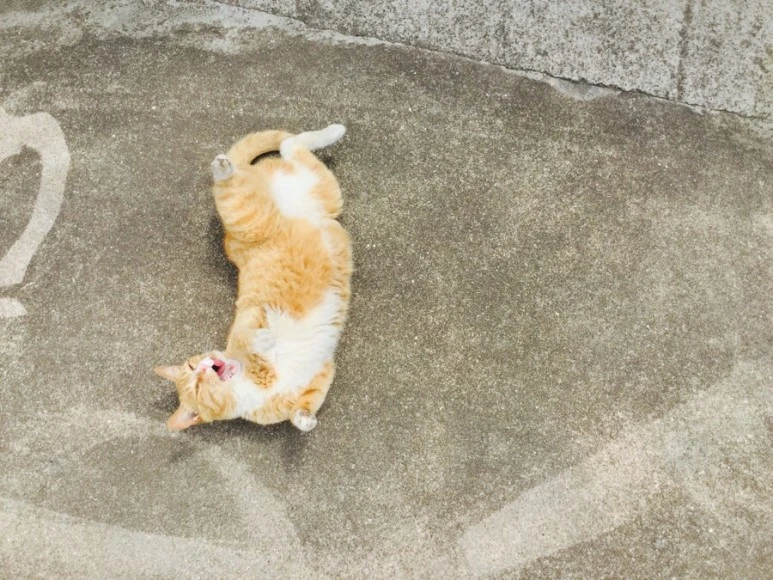 IMG_2423.jpg?type=w773