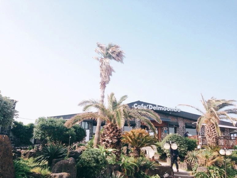 IMG_9062.jpg?type=w773