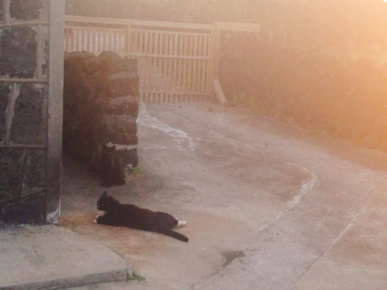 IMG_9131.jpg?type=w773