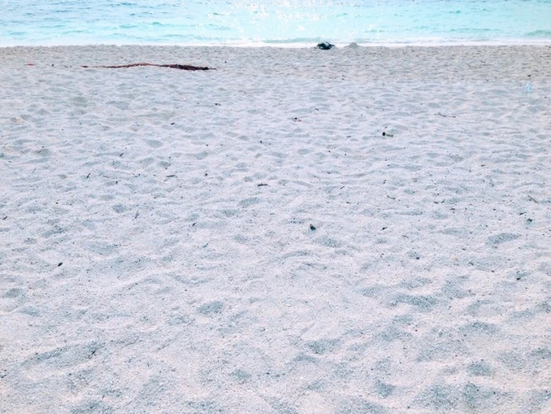 7F6ECFBA-DEED-45E1-96E0-0D9D70A55654.jpg?type=w773