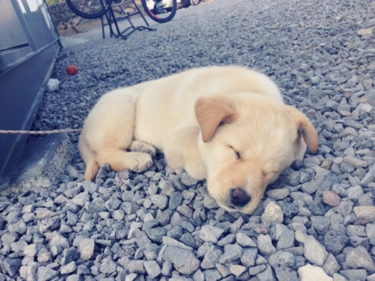 se3_image_2786156988.jpg?type=w773