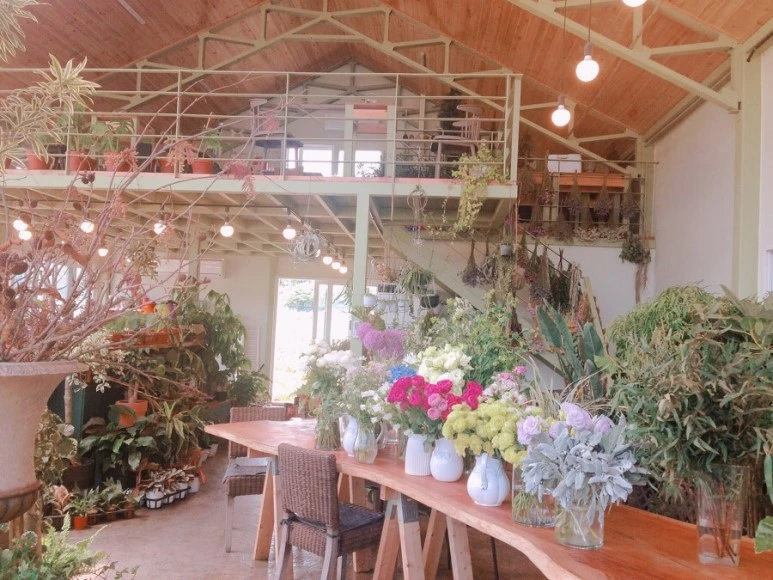 IMG_2208.jpg?type=w773