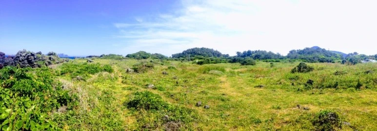 460E5709-9722-4AD3-A2EC-A46EA7A38EDE.jpg?type=w773