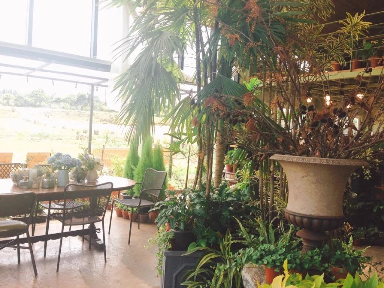 IMG_2205.jpg?type=w773