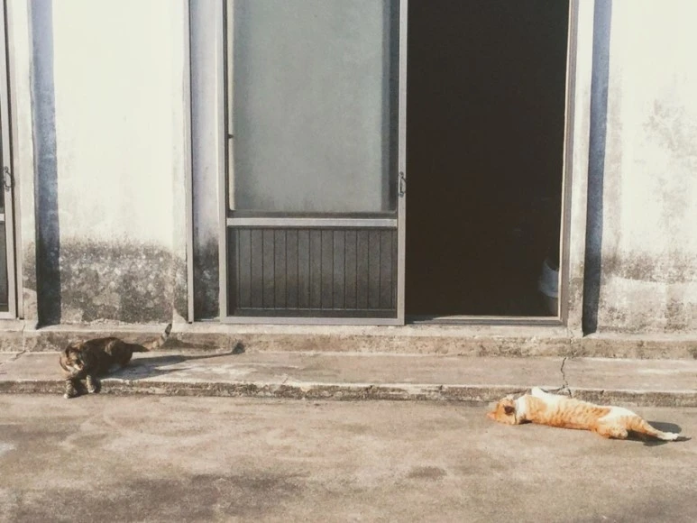 IMG_2581.jpg?type=w773