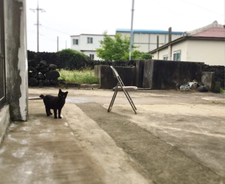 se3_image_2446688487.jpg?type=w773