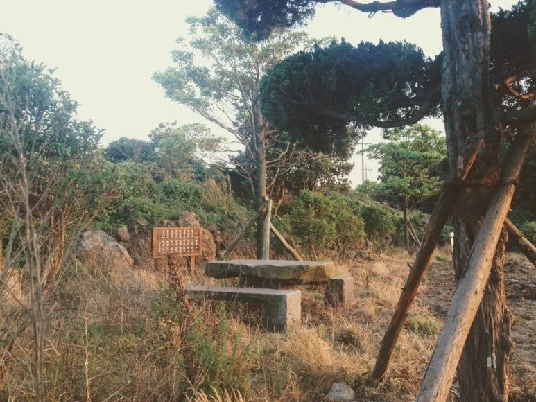 2AB736E6-D12D-4B3F-8C63-F112B1E1BE11.jpg?type=w773