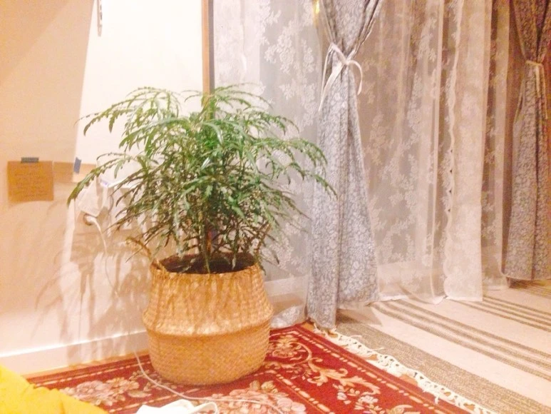 IMG_9124.jpg?type=w773