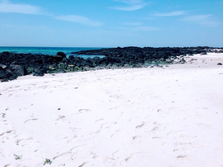 se3_image_1092637192.jpg?type=w773