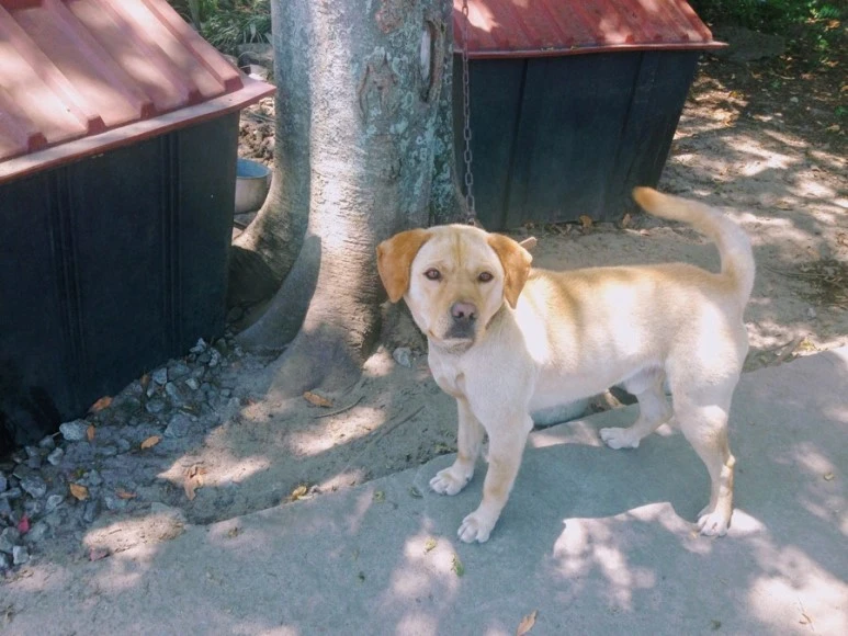 BD25B242-F1EC-4498-AD0A-FE250619FB3C.jpg?type=w773