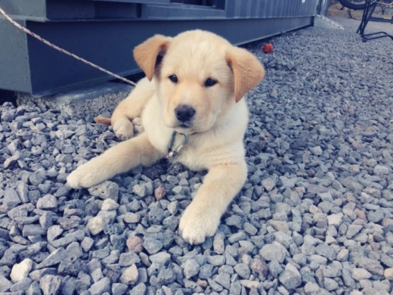 se3_image_4155653500.jpg?type=w773