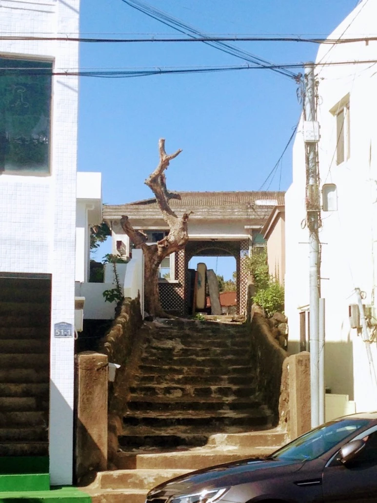 04341DDC-5D0F-49BE-A7C6-794352A24B07.jpg?type=w773