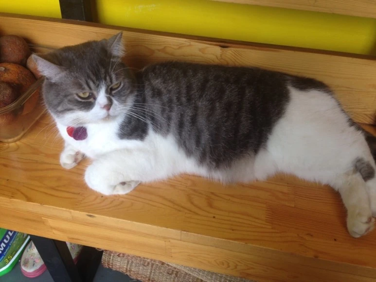 45B78FD1-55B3-420C-9341-F4C49A1A6A08.jpg?type=w773