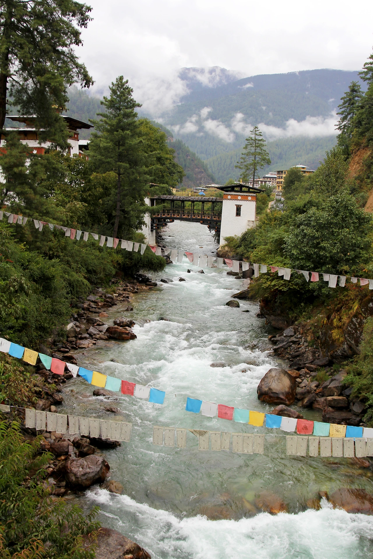 Thimphu004.jpeg