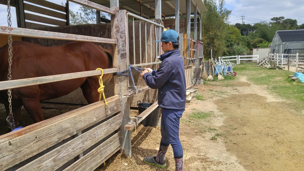 277B314B58E5859E01502B