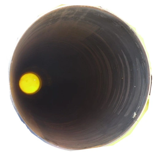 18669A404EC1C6C431E2E6