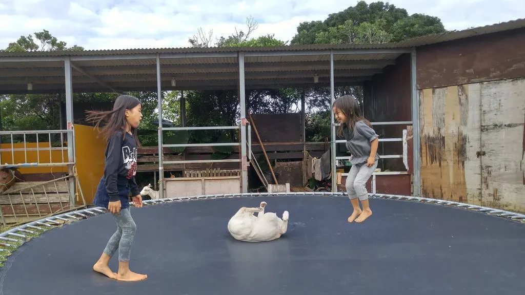 22524E4758E5865A130902