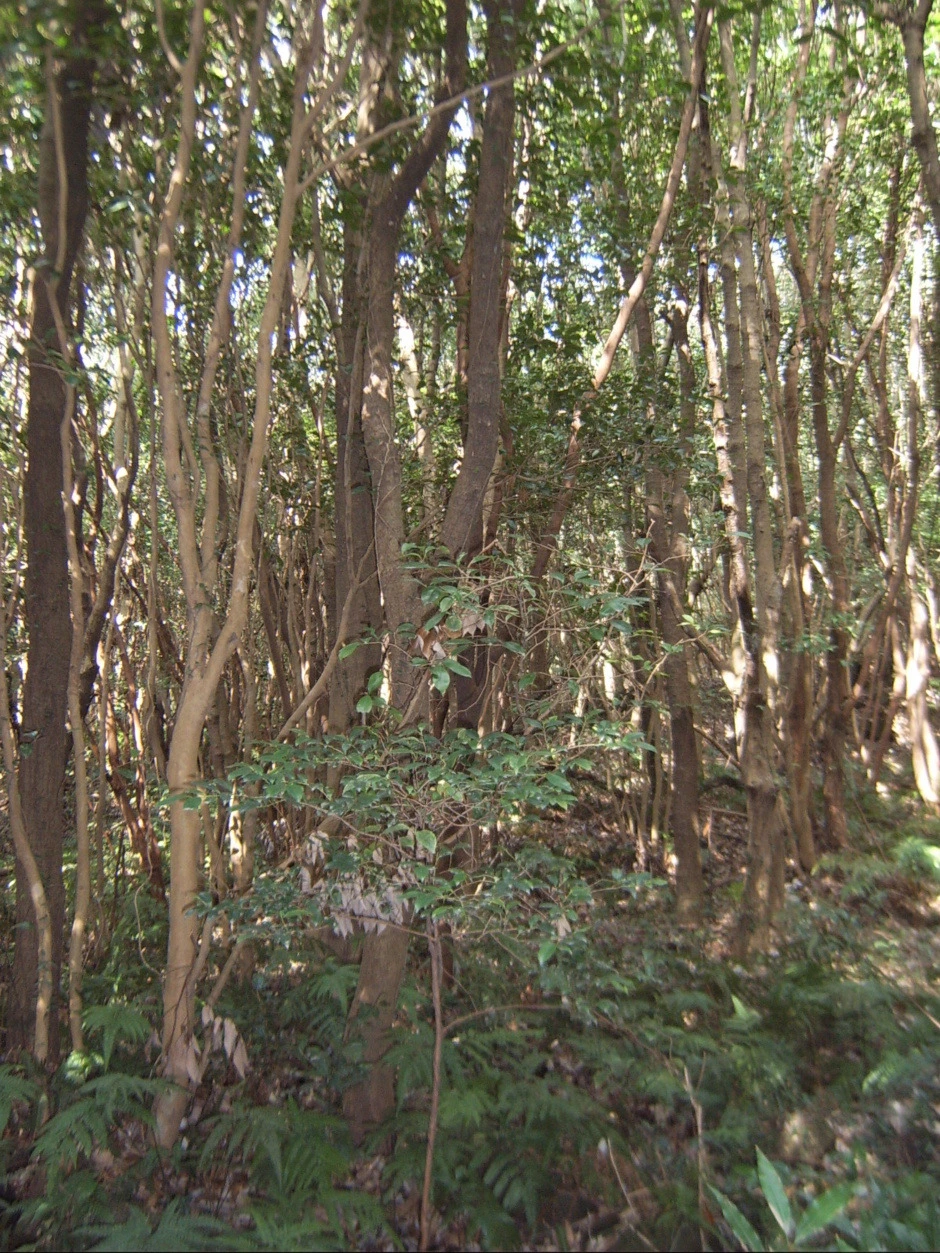 2303274156D8DD57089450