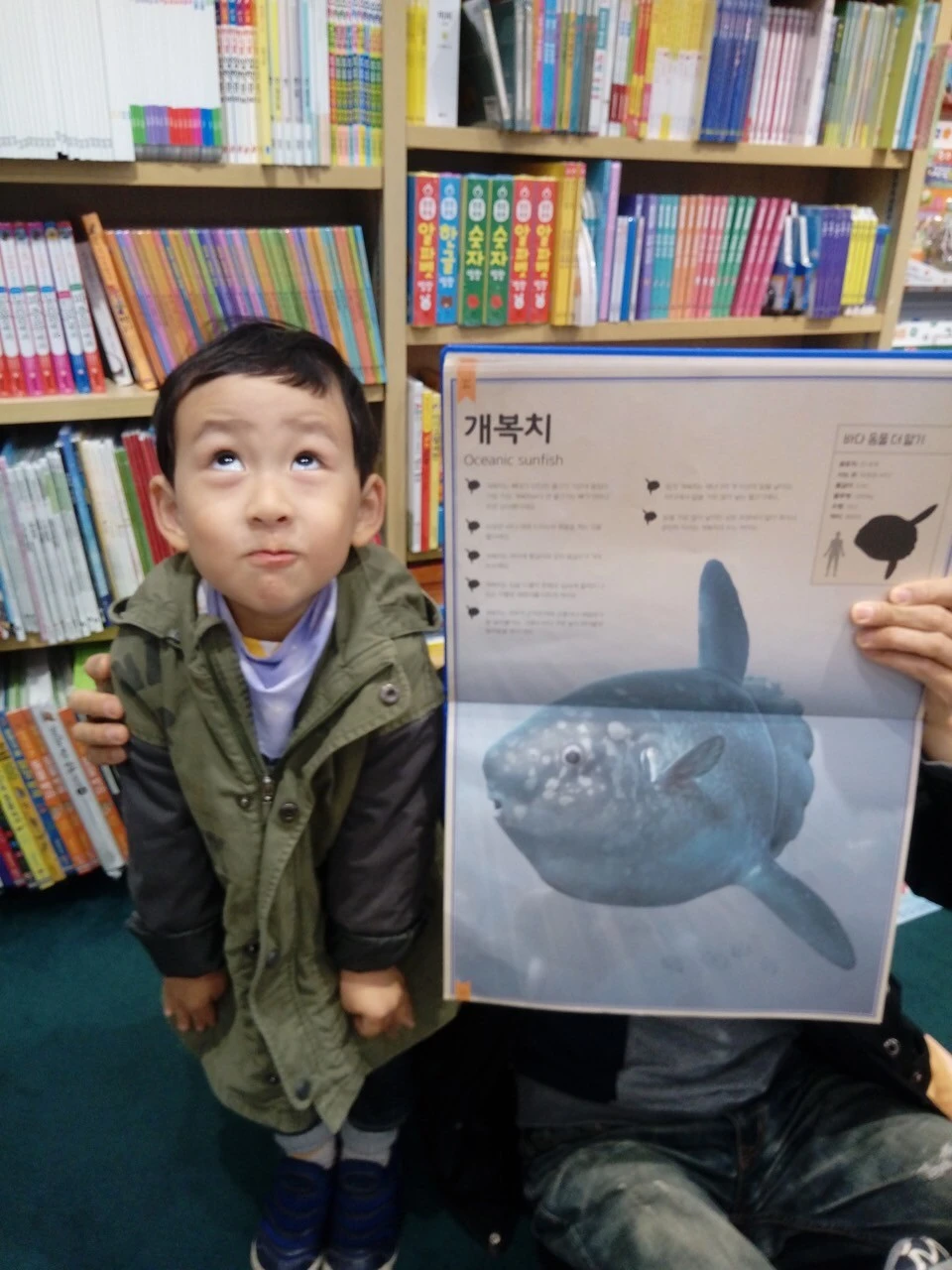 i_c70Ud018svc1pjqz6oeqi6bg_btdk7z.jpg?type=e1920_std