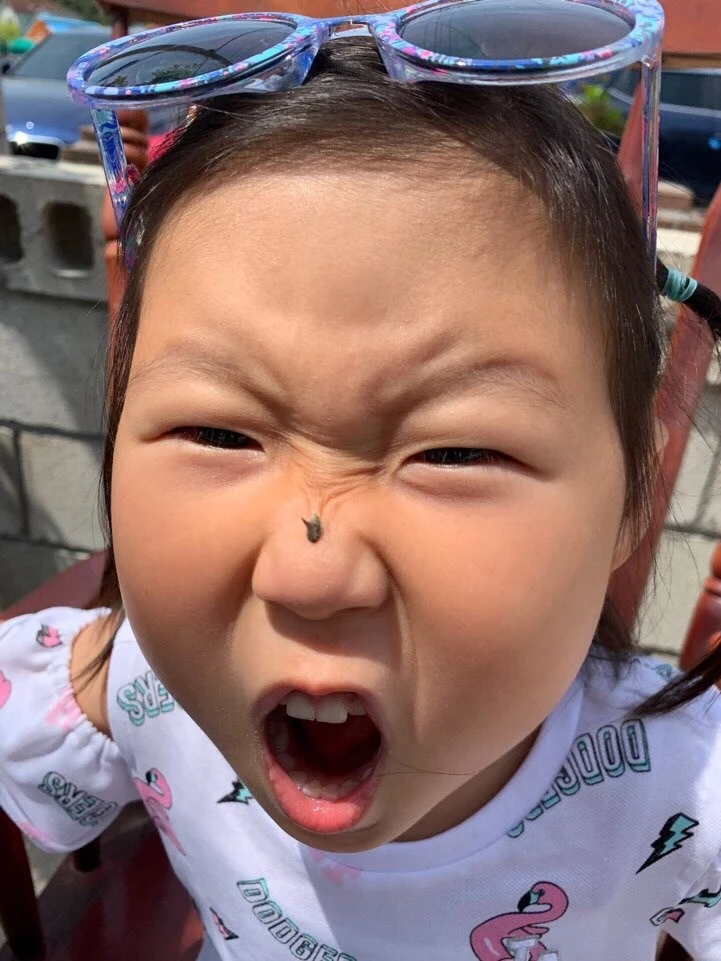 7_d7aUd018svc1ppx6kyjdgjye_yn1sck.jpg?type=e1920_std