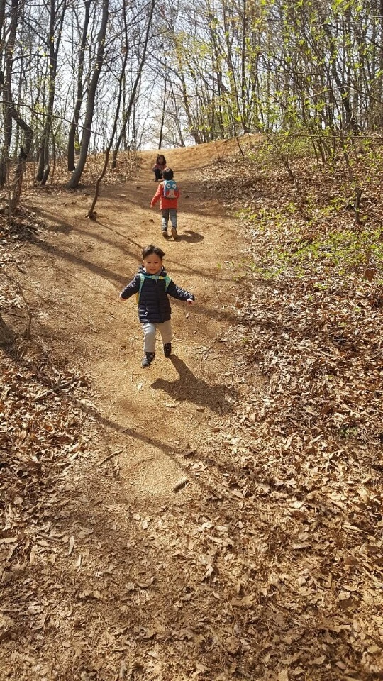 5_febUd018svcnzd3y5nbd0i5_koimga.jpg?type=e1920_std