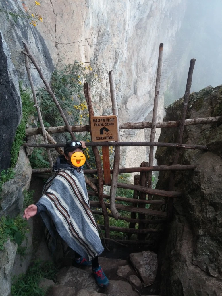 SE-e99dbc1a-e7c2-466a-9dbc-63d0ce34065a.jpg?type=w773