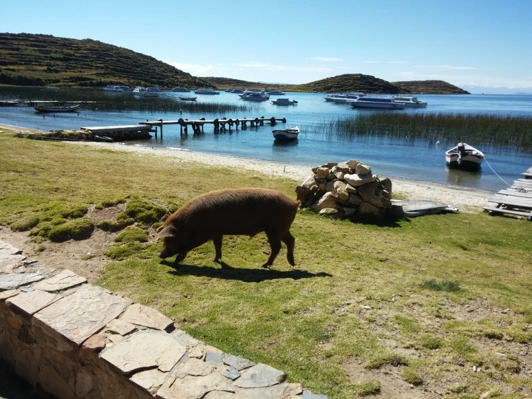 LG_Electronics_LG-F300S_20150519_110924.jpg?type=w773