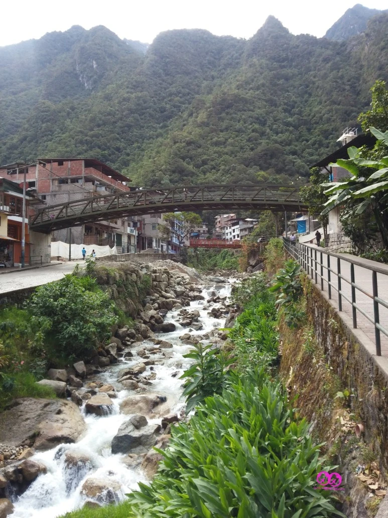 SE-bf9cfdfa-fee6-4afd-8c86-4c4c2e04469a.jpg?type=w773