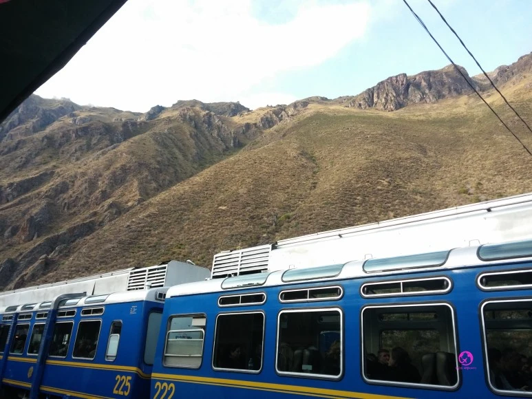 SE-0316fe29-a8d9-4ab0-83ab-05c5a2b76415.jpg?type=w773