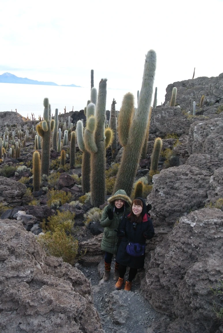 DSC_4726.JPG?type=w773