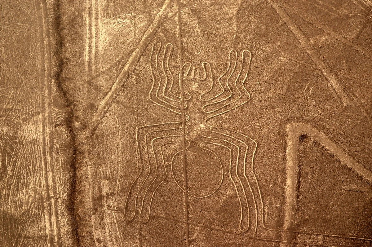 peru_scratching_pictures_spider_best_nazca_plateau-656958.jpg!d
