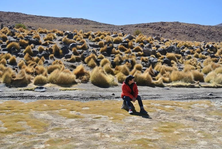 DSC_4567.JPG?type=w773