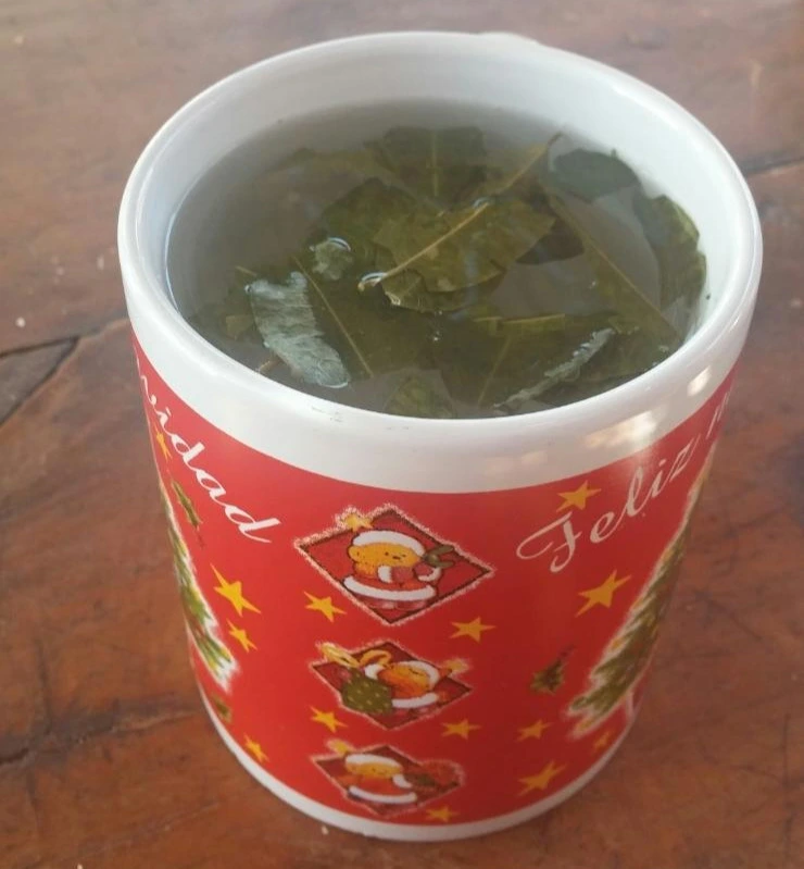 UazvGNmuBq_6SstJczx9gudsFbI