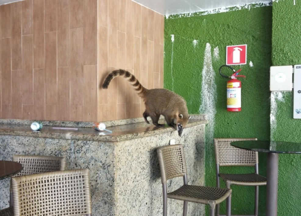 _hlIqAeXLGQMVCA7DMQC4rePZZ8