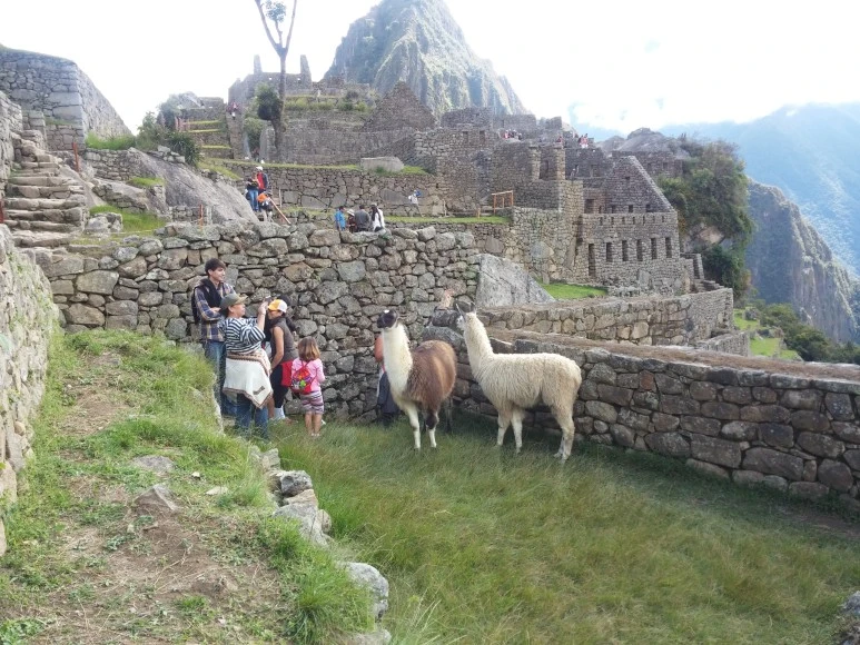 LG_Electronics_LG-F300S_20150529_105352.jpg?type=w773